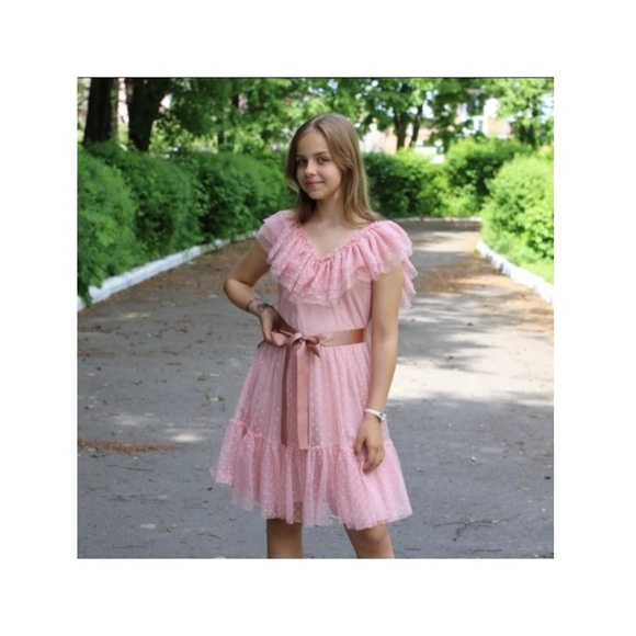 Pink Blush Ruffle Tulle Elegant Pleated Dress - Picture 11 of 16